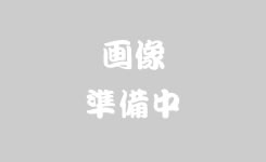 ヘルシー豆腐サラザ