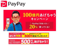 Paypay使えます！